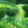 Bild: Alfred Schiener Bild: Alfred Schiener